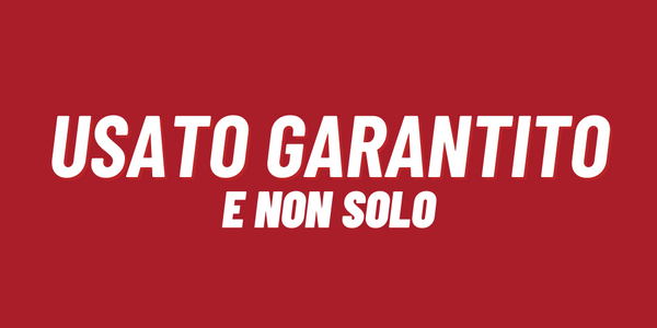 Usato garantito